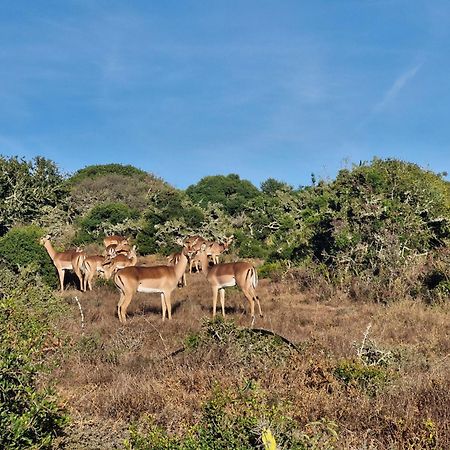 Harmony Luxury Tents & Safari Addo Exterior photo