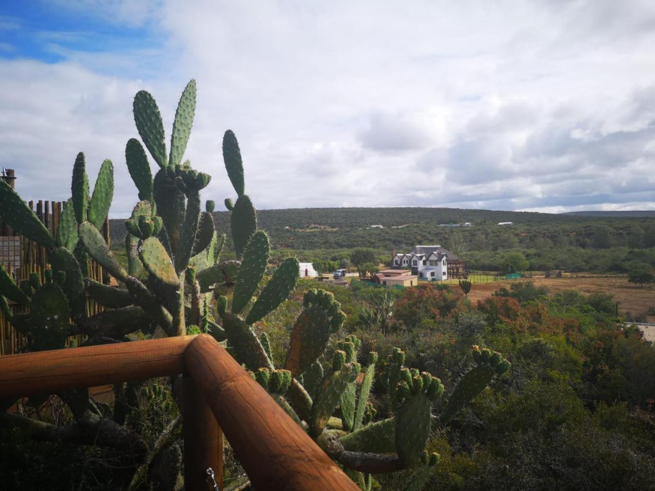 Harmony Luxury Tents & Safari Addo Exterior photo