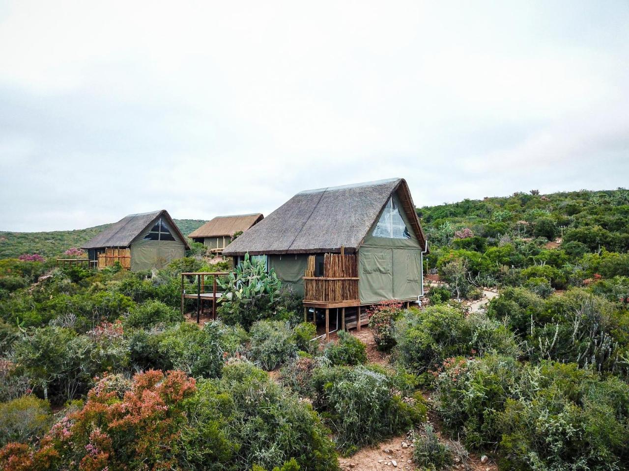Harmony Luxury Tents & Safari Addo Exterior photo